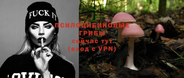 твердый Абинск