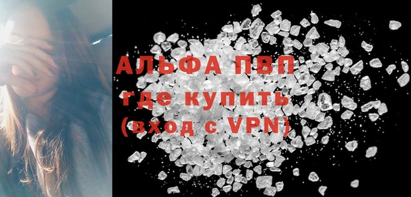 прущие грибы Алексеевка