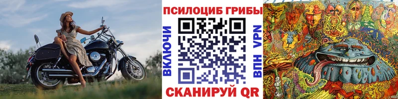 Псилоцибиновые грибы Magic Shrooms  Подпорожье 