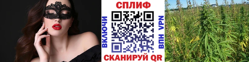 МАРИХУАНА семена  Подпорожье 